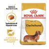 Royal Canin Dachshund Adult - Tacskó felnőtt kutya száraz táp  0.5 kg