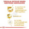 Royal Canin Dachshund Adult - Tacskó felnőtt kutya száraz táp  0.5 kg