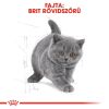 Royal Canin British Shorthair Kitten - Brit rövidszőrű kölyök macska száraz táp  0.4 kg