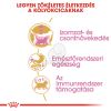 Royal Canin British Shorthair Kitten - Brit rövidszőrű kölyök macska száraz táp  0.4 kg