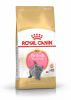 Royal Canin British Shorthair Kitten - Brit rövidszőrű kölyök macska száraz táp  2 kg