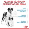 Royal Canin Giant Starter Mother & Babydog - óriás testű kölyök és vemhes kutya száraz táp  15 kg