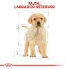 Royal Canin Labrador Retriever Puppy - Labrador Retriever kölyök kutya száraz táp  3 kg