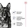 Royal Canin Maxi Ageing 8+ - nagytestű idős kutya száraz táp  15 kg
