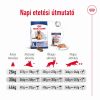 Royal Canin Maxi Ageing 8+ - nagytestű idős kutya száraz táp  15 kg