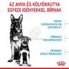 Royal Canin Maxi Starter - nagy testű kölyök és vemhes kutya száraz táp  15 kg
