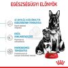 Royal Canin Maxi Starter - nagy testű kölyök és vemhes kutya száraz táp  4 kg