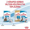 Royal Canin Maxi Starter - nagy testű kölyök és vemhes kutya száraz táp  4 kg
