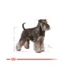 Royal Canin Miniature Schnauzer Adult - Törpe schnauzer felnőtt kutya száraz táp  3 kg