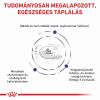 Royal Canin Neutered Adult Large Dog  12 kg
