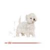 Royal Canin West Highlander White Terrier Adult - West Highlander White Terrier felnőtt kutya száraz táp  0.5 kg