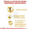 Royal Canin Beagle Adult - Beagle felnőtt kutya száraz táp  12 kg