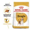 Royal Canin Beagle Adult - Beagle felnőtt kutya száraz táp  3 kg