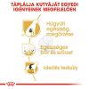 Royal Canin Bichon Frise Adult - Bichon Frise felnőtt kutya száraz táp  1.5 kg