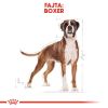 Royal Canin Boxer Adult - Boxer felnőtt kutya száraz táp  3 kg