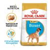 Royal Canin Boxer Puppy - Boxer kölyök kutya száraz táp  3 kg