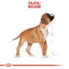 Royal Canin Boxer Puppy - Boxer kölyök kutya száraz táp  3 kg