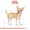 Royal Canin Chihuahua Adult - Csivava felnőtt fajta kutya száraz táp  1.5 kg