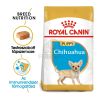 Royal Canin Chihuahua Puppy - Csivava kölyök kutya száraz táp  0.5 kg