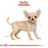 Royal Canin Chihuahua Puppy - Csivava kölyök kutya száraz táp  0.5 kg