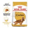 Royal Canin Cocker Adult - Cocker Spániel felnőtt kutya száraz táp  3 kg