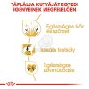 Royal Canin Cocker Adult - Cocker Spániel felnőtt kutya száraz táp  3 kg