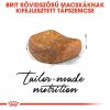 Royal Canin British Shorthair Adult - Brit rövidszőrű felnőtt macska száraz táp  400 g