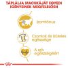 Royal Canin British Shorthair Adult - Brit rövidszőrű felnőtt macska száraz táp  400 g