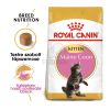 Royal Canin Maine Coon Kitten - Maine Coon kölyök macska száraz táp  400 g