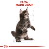 Royal Canin Maine Coon Kitten - Maine Coon kölyök macska száraz táp  400 g
