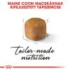 Royal Canin Maine Coon Kitten - Maine Coon kölyök macska száraz táp  400 g