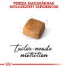 Royal Canin Persian Kitten - Perzsa kölyök macska száraz táp  2 kg