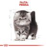 Royal Canin Persian Kitten - Perzsa kölyök macska száraz táp  400 g
