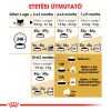 Royal Canin Persian Kitten - Perzsa kölyök macska száraz táp  400 g