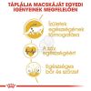 Royal Canin Maine Coon Adult - Maine Coon felnőtt macska száraz táp  4 kg