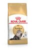 Royal Canin Persian Adult - Perzsa felnőtt macska száraz táp  10 kg