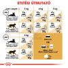 Royal Canin Persian Adult - Perzsa felnőtt macska száraz táp  10 kg