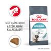 Royal Canin Hairball Care - száraz táp felnőtt macskák részére a szőrlabdák könnyebb eltávozásáért  10 kg