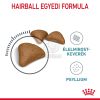 Royal Canin Hairball Care - száraz táp felnőtt macskák részére a szőrlabdák könnyebb eltávozásáért  10 kg