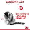 Royal Canin Hairball Care - száraz táp felnőtt macskák részére a szőrlabdák könnyebb eltávozásáért  10 kg