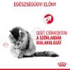 Royal Canin Hairball Care - száraz táp felnőtt macskák részére a szőrlabdák könnyebb eltávozásáért  10 kg