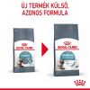 Royal Canin Hairball Care - száraz táp felnőtt macskák részére a szőrlabdák könnyebb eltávozásáért  10 kg