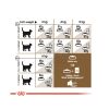 Royal Canin Ageing 12+ - idős macska száraz táp  4 kg