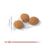 Royal Canin Protein Exigent - válogatós felnőtt macska száraz táp  2 kg