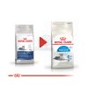 Royal Canin Indoor 7+ - lakásban tartott idősödő macska száraz táp  400 g