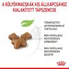 Royal Canin Kitten - kölyök macska száraz táp  4 kg
