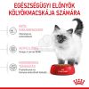 Royal Canin Kitten - kölyök macska száraz táp  400 g
