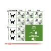 Royal Canin Outdoor - szabadba gyakran kijáró, aktív felnőtt macska száraz táp  10 kg