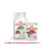Royal Canin Outdoor - szabadba gyakran kijáró, aktív felnőtt macska száraz táp  4 kg