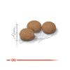 Royal Canin Ageing Sterilised 12+ - ivartalanított idős macska száraz táp  2 kg